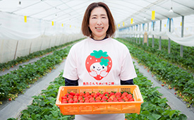 加工品の工夫も。ファンを増やすいちごづくり