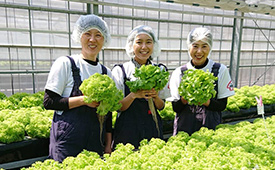 明るく元気、女性が輝く直売所