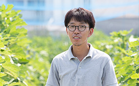 いちじく農家3代目が取り組む未来につなげる農業