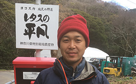 様々な面でバランスがとれている「平凡野菜」