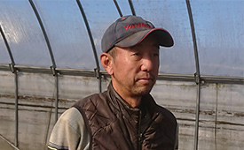 野菜の専門店として、西洋野菜の魅力を発信