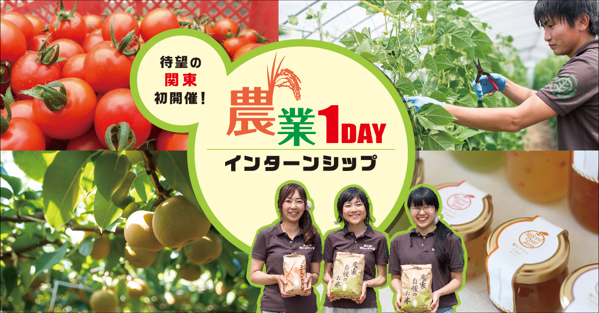 農泊地域と料理人のマッチングモニターツアー＠千葉県
