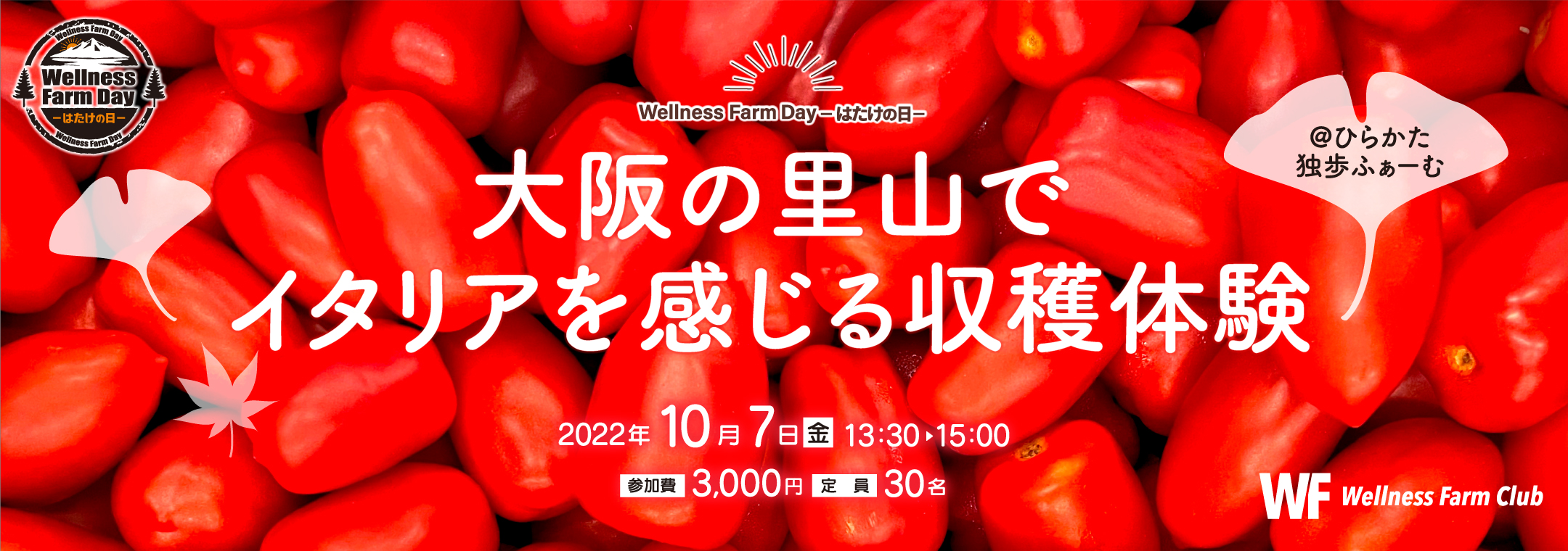 【Wellness Farm Day-はたけの日-】 大阪の里山で秋を感じるイタリアントマト収穫体験
