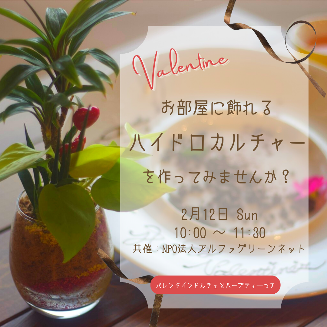 【２月1２日】暮らしが潤う”ハイドロカルチャー”制作ワークショップ！