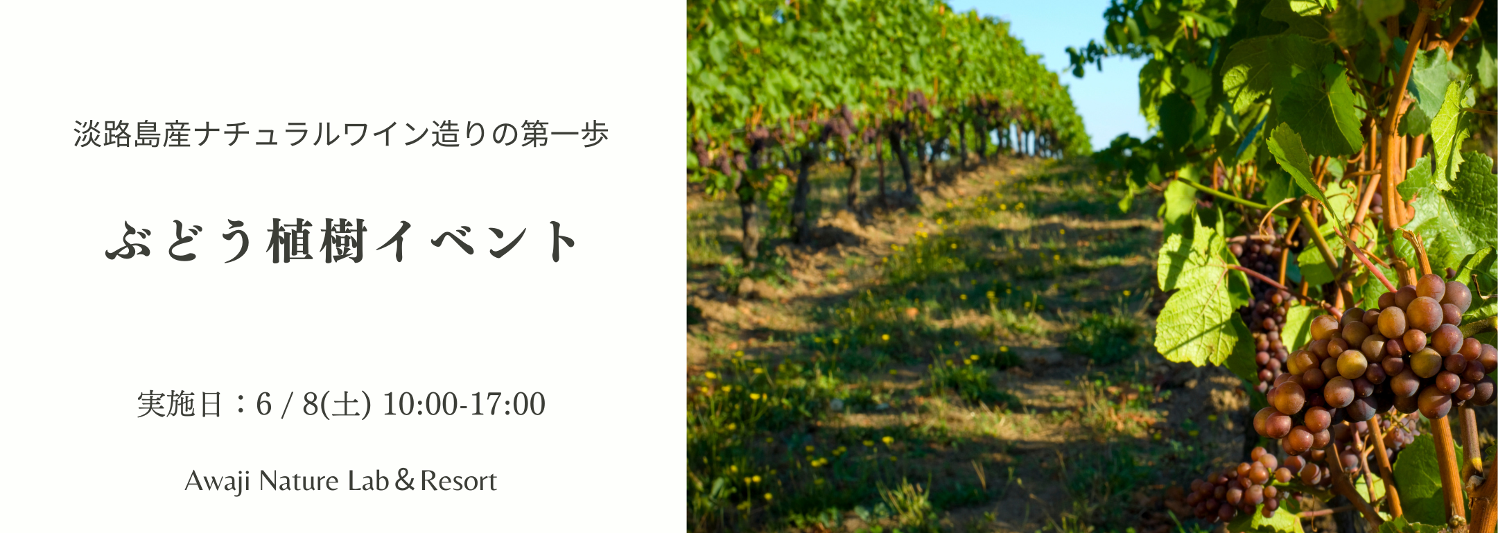 6月8日開催！ぶどう植樹イベントのお知らせ＠淡路島