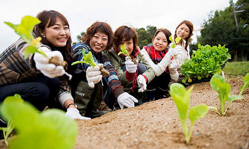 e56b8b88f136148a-awaji112.jpg